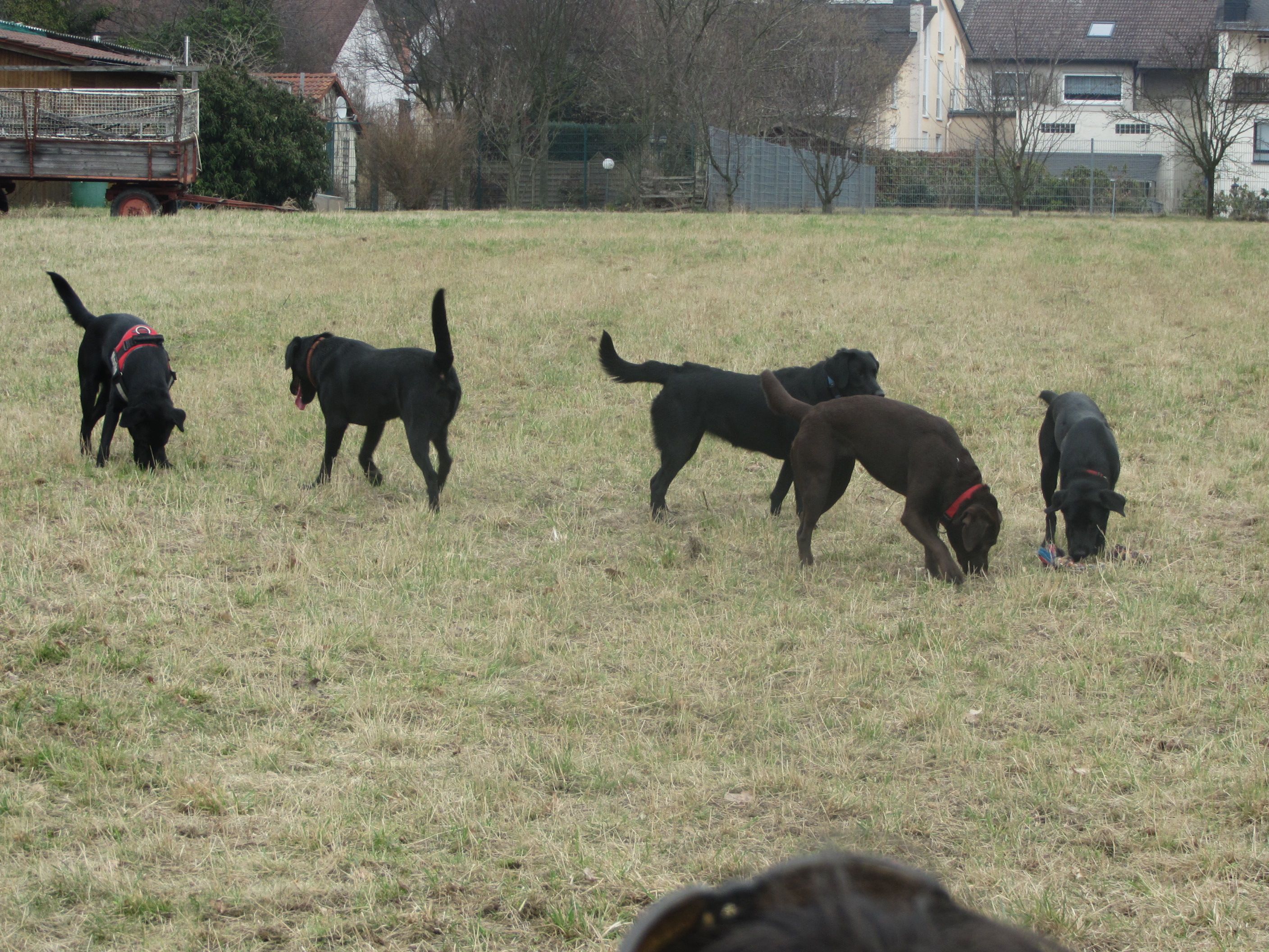 Asylbewerber droht Säugling auf Polizisten zu werfen Das Erwachen der